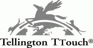 Logo von Tellington TTouch der Methode zum Reittraining